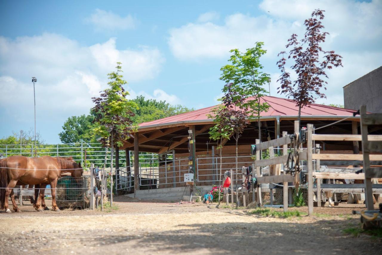 Ranchzimmer Am Hippo-Campus Reit- Und Therapiezentrum Deutsch Haslau Extérieur photo